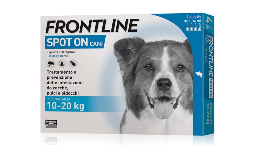 Image 6: Frontline per cani e gatti