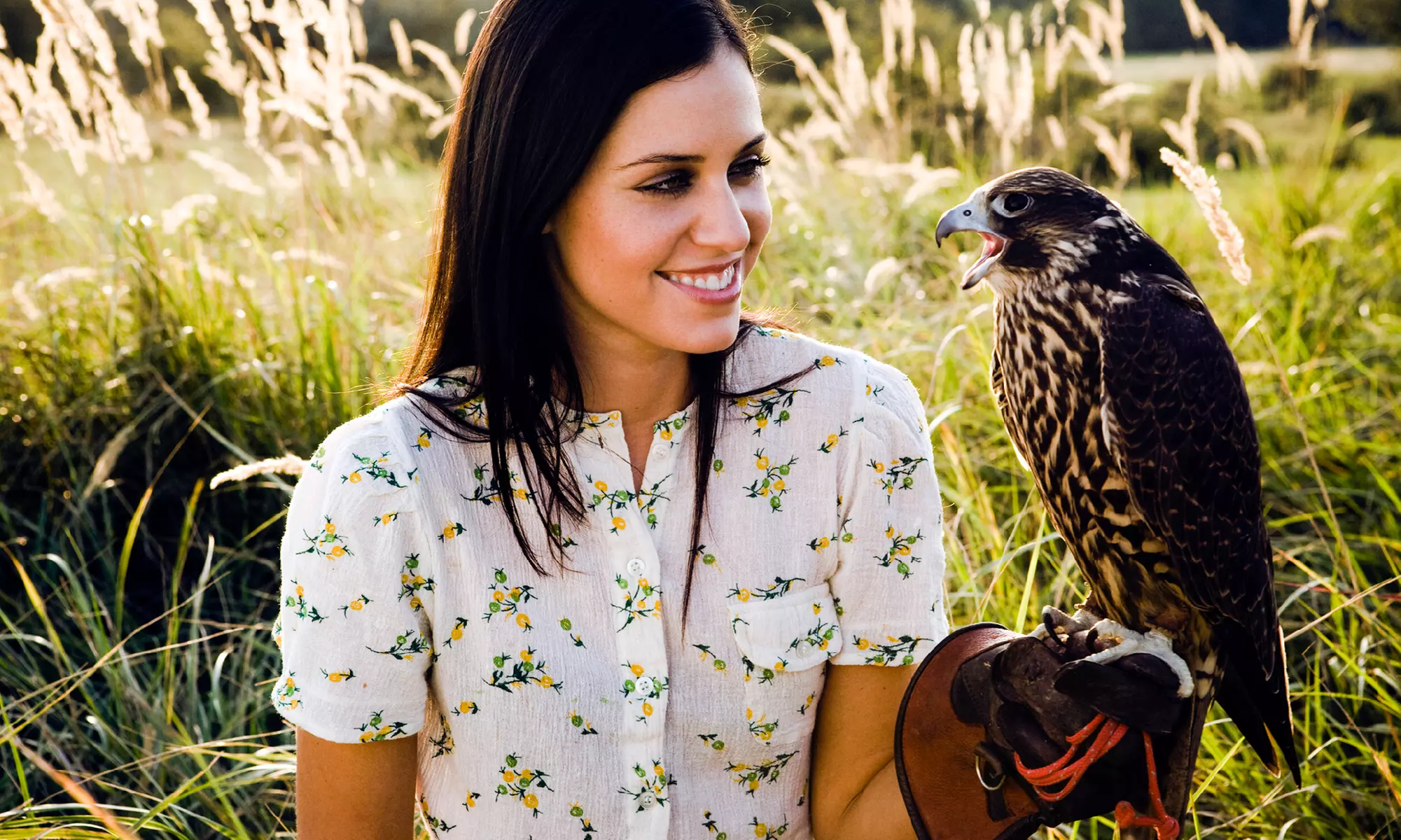 60-Minute Hawk Walk for one, two or for family of four at Hawksflight Falconry (Up to65% Off) - Primary Image