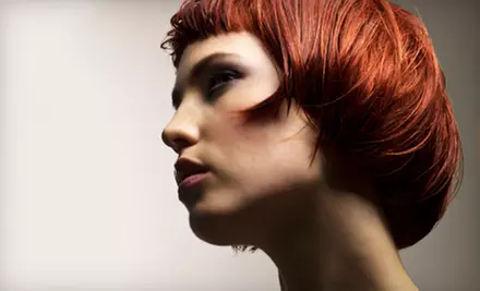 Haircut, Style, and Coloring or Haircut, Style, and Two-Color Partial Highlight at Salon Exposé in Prairie Village  - Primary Image