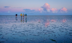 De Wadden: 1 of 2 nachten nachten incl. wellness