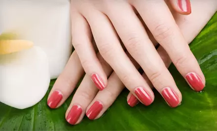 Shellac Manicure or Shellac Manicure with Pedicure at Simple Indulgence Day Spa in Sturbridge (Up to 53% Off) - Primary Image