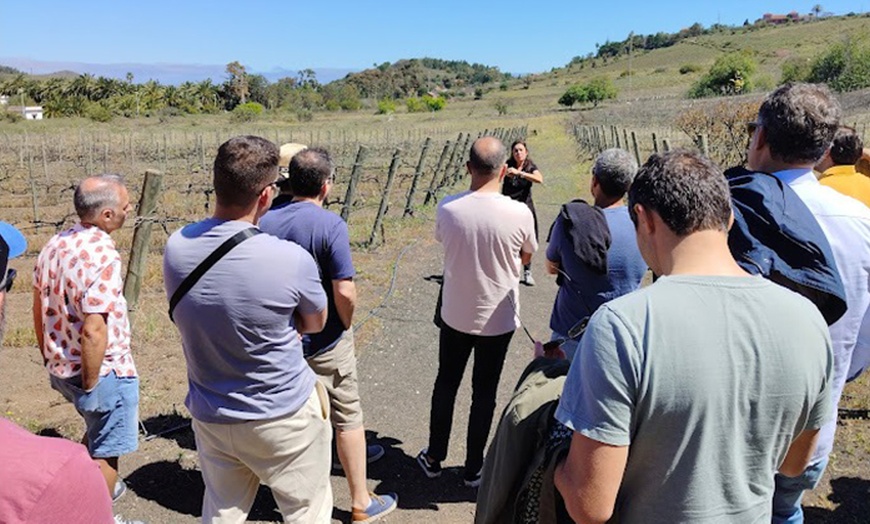 Image 12: Visita a Bodegas, Museo del Vino y cata con aperitivos