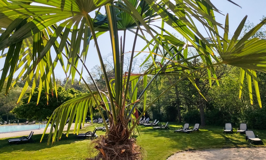 Image 8: Tageskarte für Saunawelt (inkl. Badelandschaft) im HEIDE SPA Bad Düben