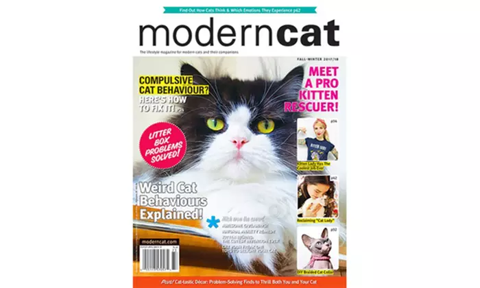 Two-Year, Four-Issue Subscription to Modern Cat (62% Off) - Primary Image