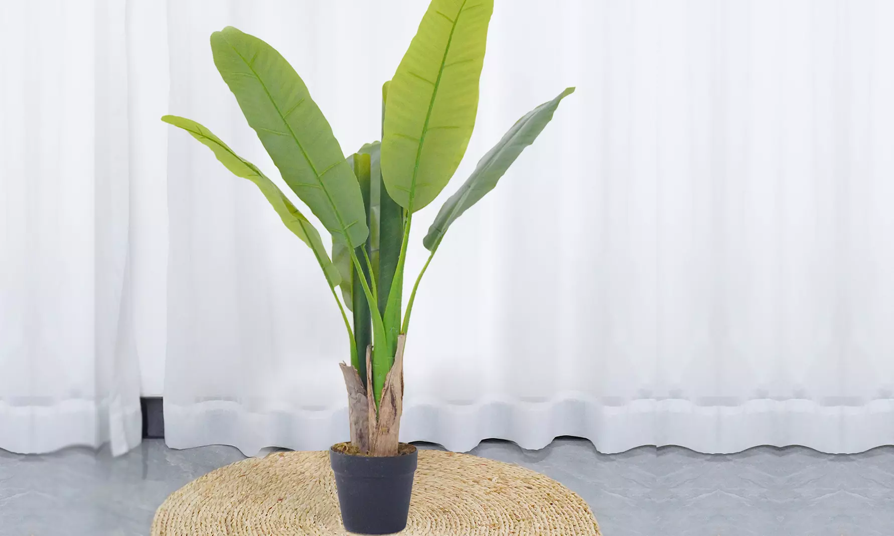 Collezione di piante finte da interno