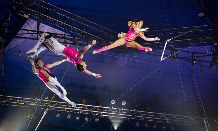 Image 5: 1 entrada para niño o adulto para el "Circo de Navidad de Gijón"