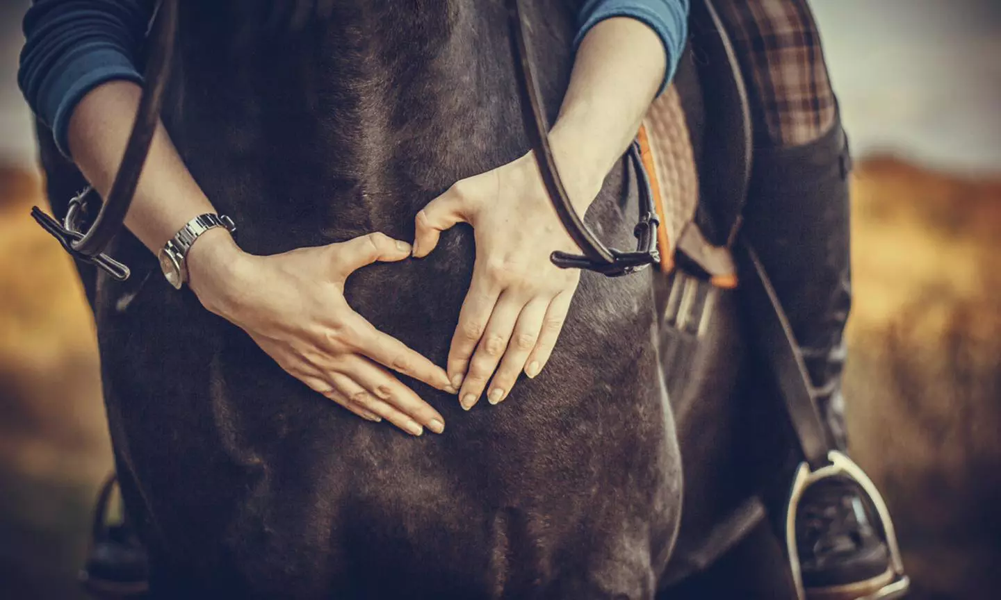 Paseo a caballo de 1 hora para 2 o 4 personas