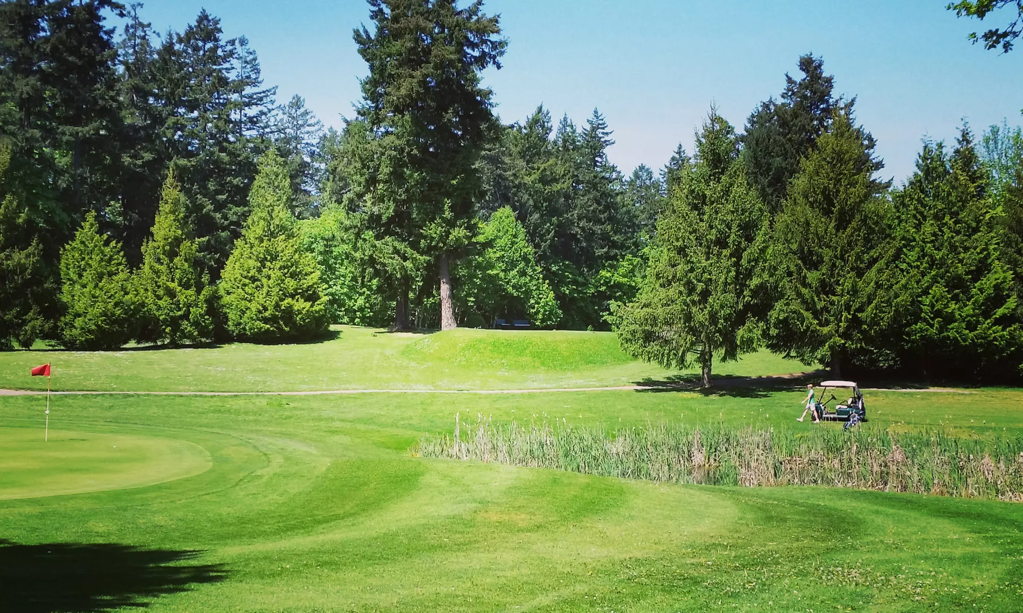 Nine-Hole Round of Golf for Two or Four at Royal Oak Golf Club (Up to 55% Off) - Primary Image
