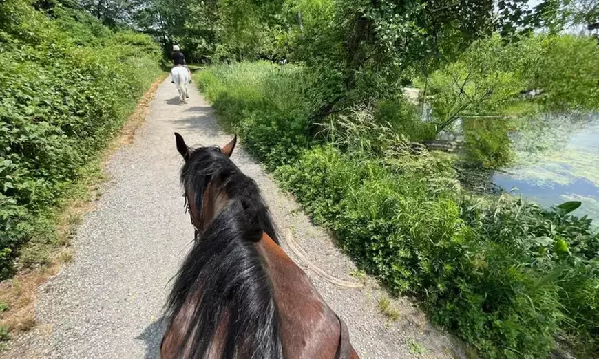One Week Full-Day Horseback Riding Camp at Seaton Hackney Stables (Up to 27% Off) - Primary Image
