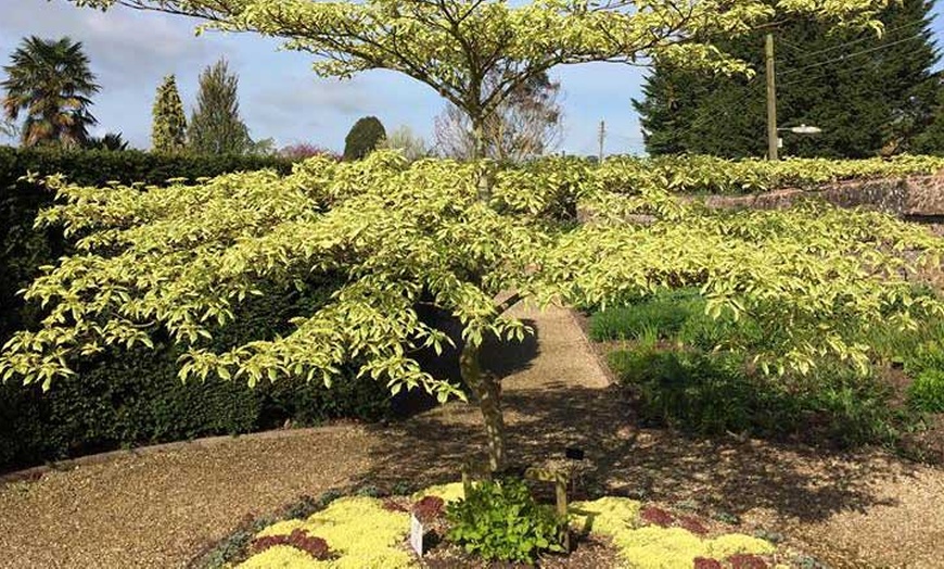 Image 6: The Walled Gardens Entry