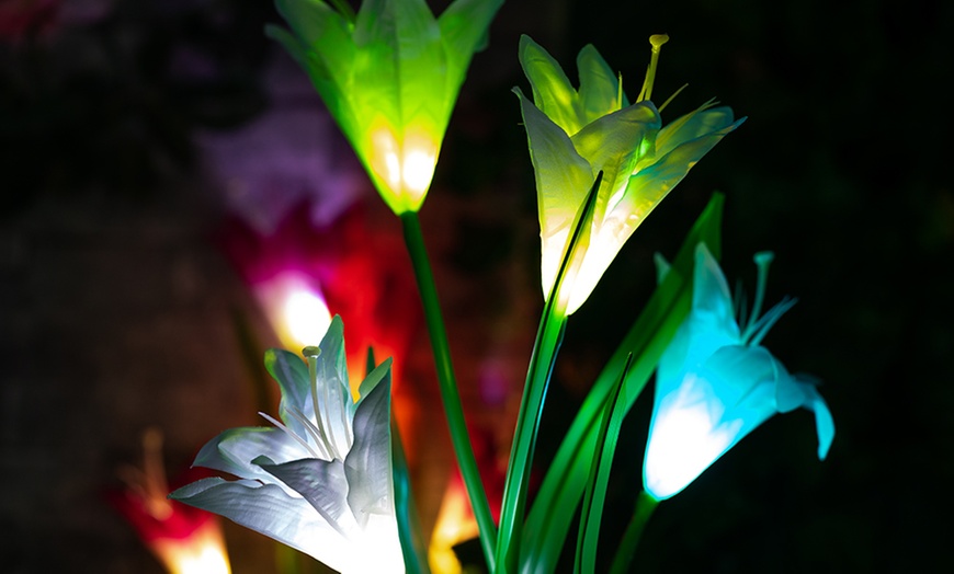 Image 6: Two-, Four- or Six-Pack of Solar Lily Flower Lights