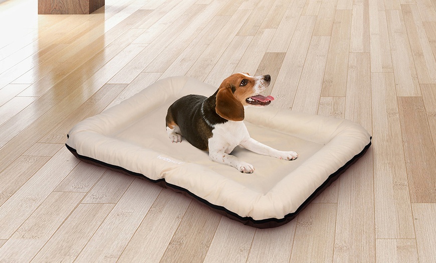 Image 7: Large Flat Dog Beds