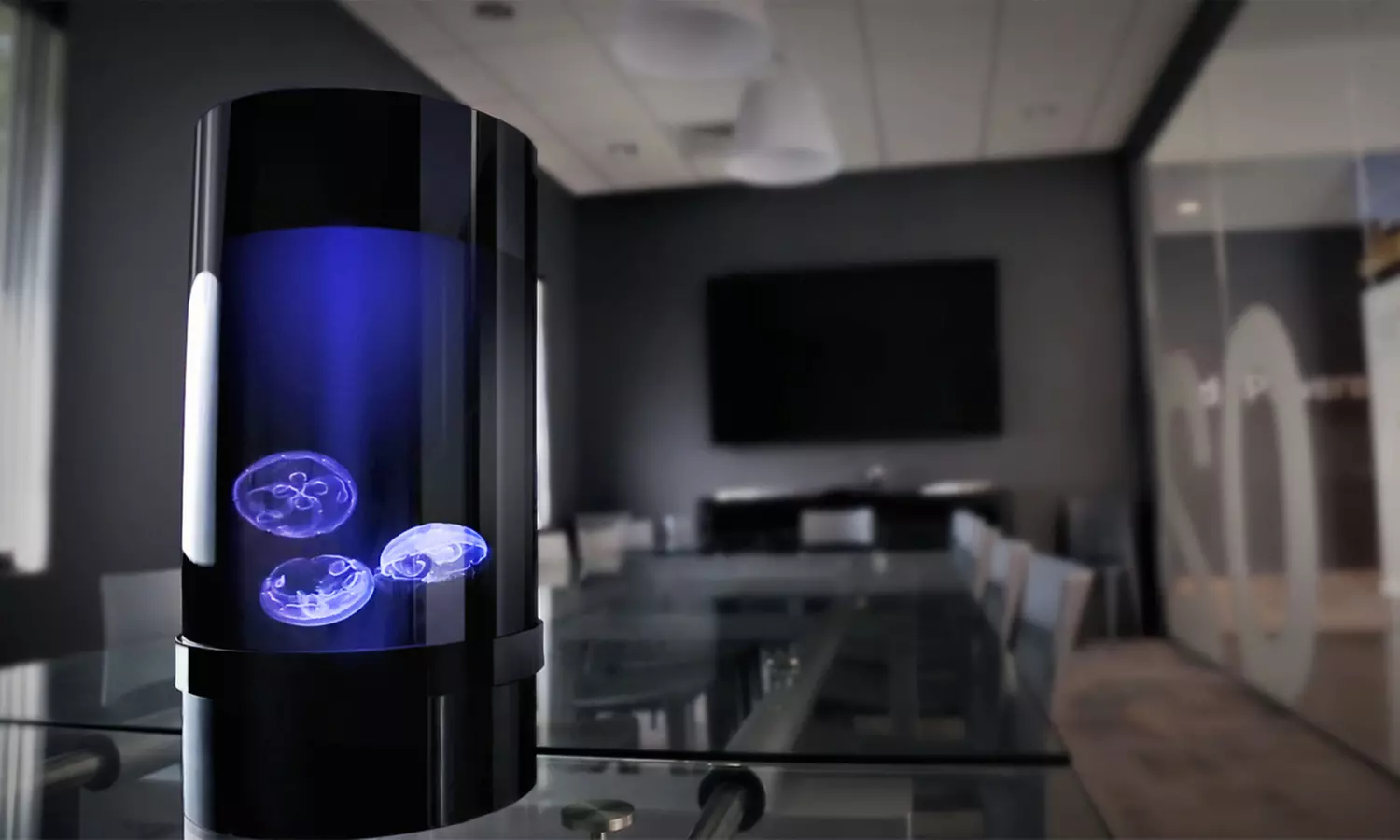 Jellyfish Nano Jelly Kit or Cylinder Jelly Kit from Jelly Fish Art - Primary Image