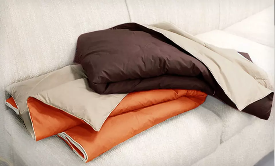 $29 for 2 Reversible Down Alternative Throws ($79.99 List Price). 6 Colors Available. Free Shipping & Returns. - Primary Image