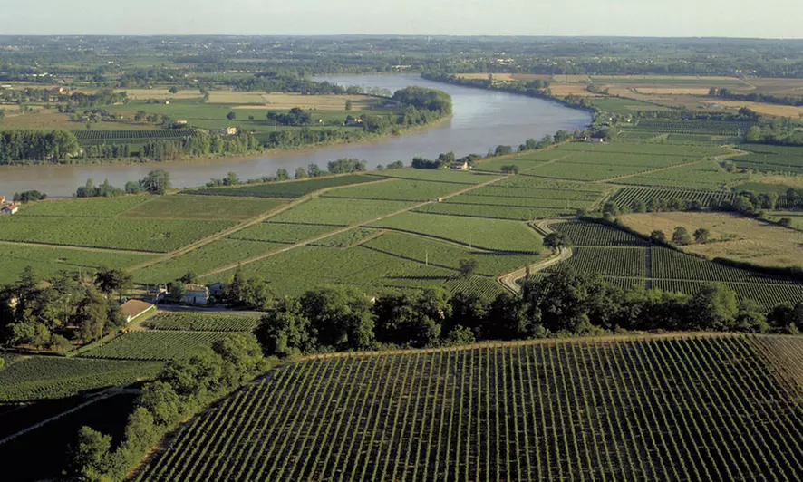 Château Belloy : escapades à deux entre vin, gastronomie et bien-être