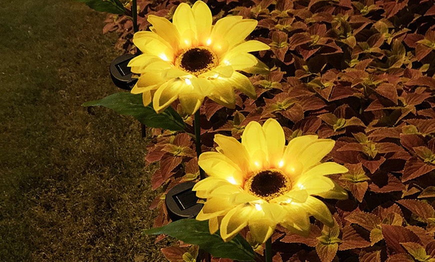 Image 6: Two or Four Packs of Solar Powered Garden Decorations Sunflower Lights