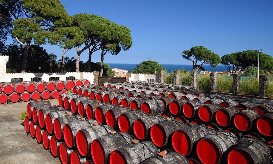 Image 4: Dégustation de vin à domicile