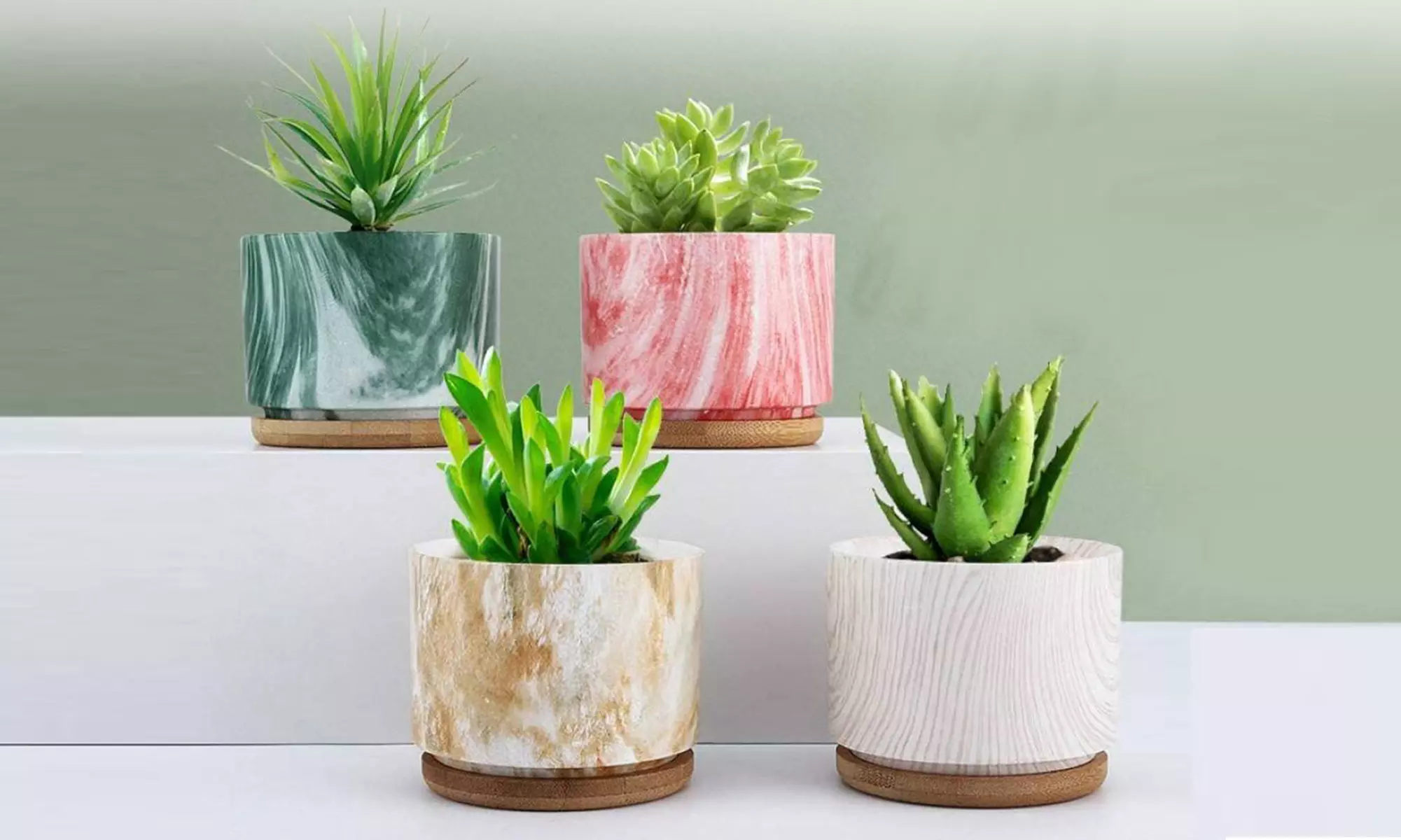 Lot de 3 pots de fleurs en céramique pour succulentes