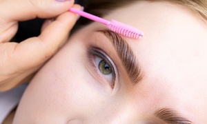 Up to 63% Off Microblading Session at DMARA SKINSPA