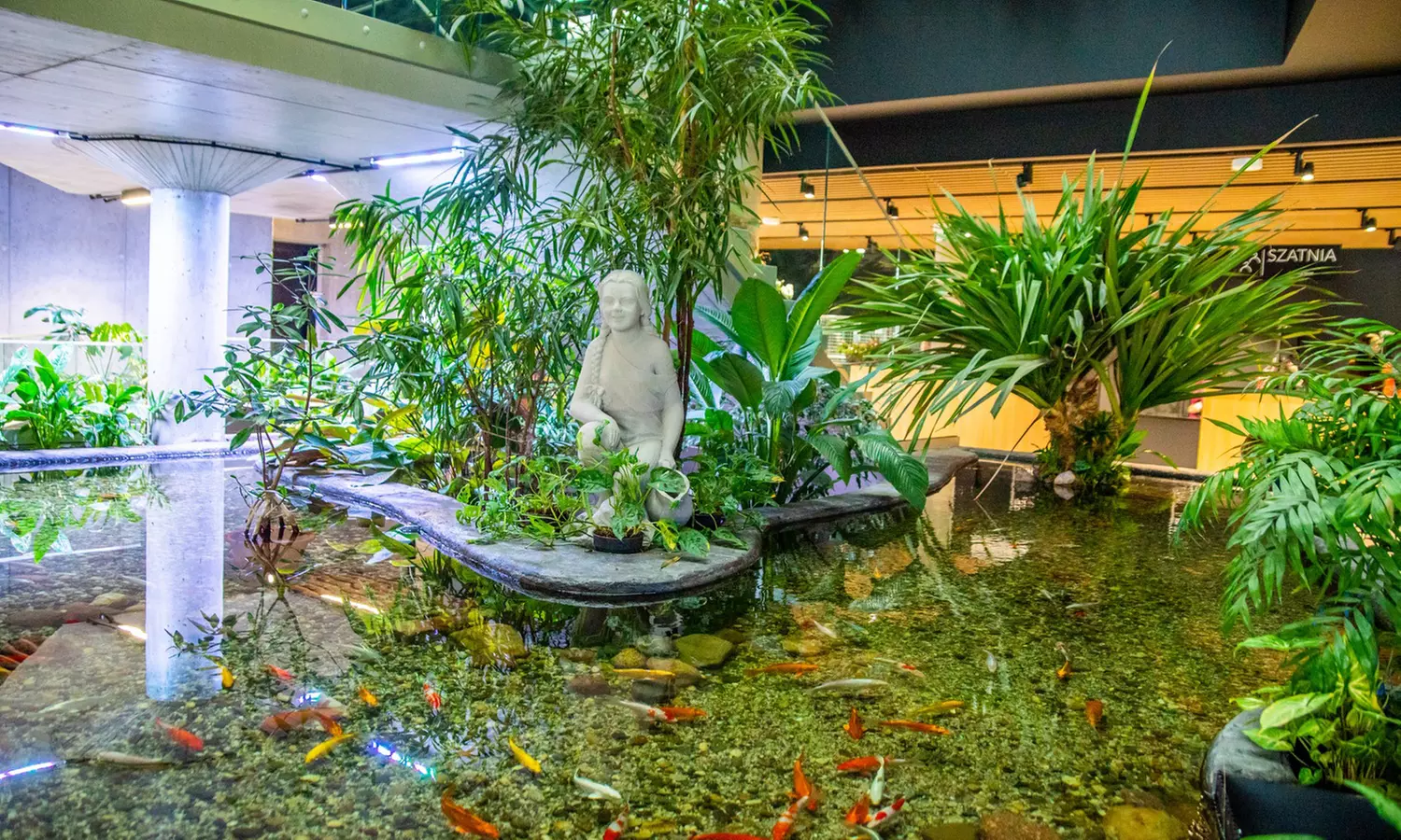 Zobacz z bliska egzotyczne rośliny i zwierzęta: bilety do Egzotarium