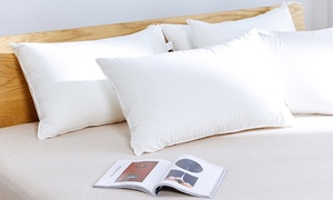 Premium 100% Egyptian Cotton Hotel Signature Pillow