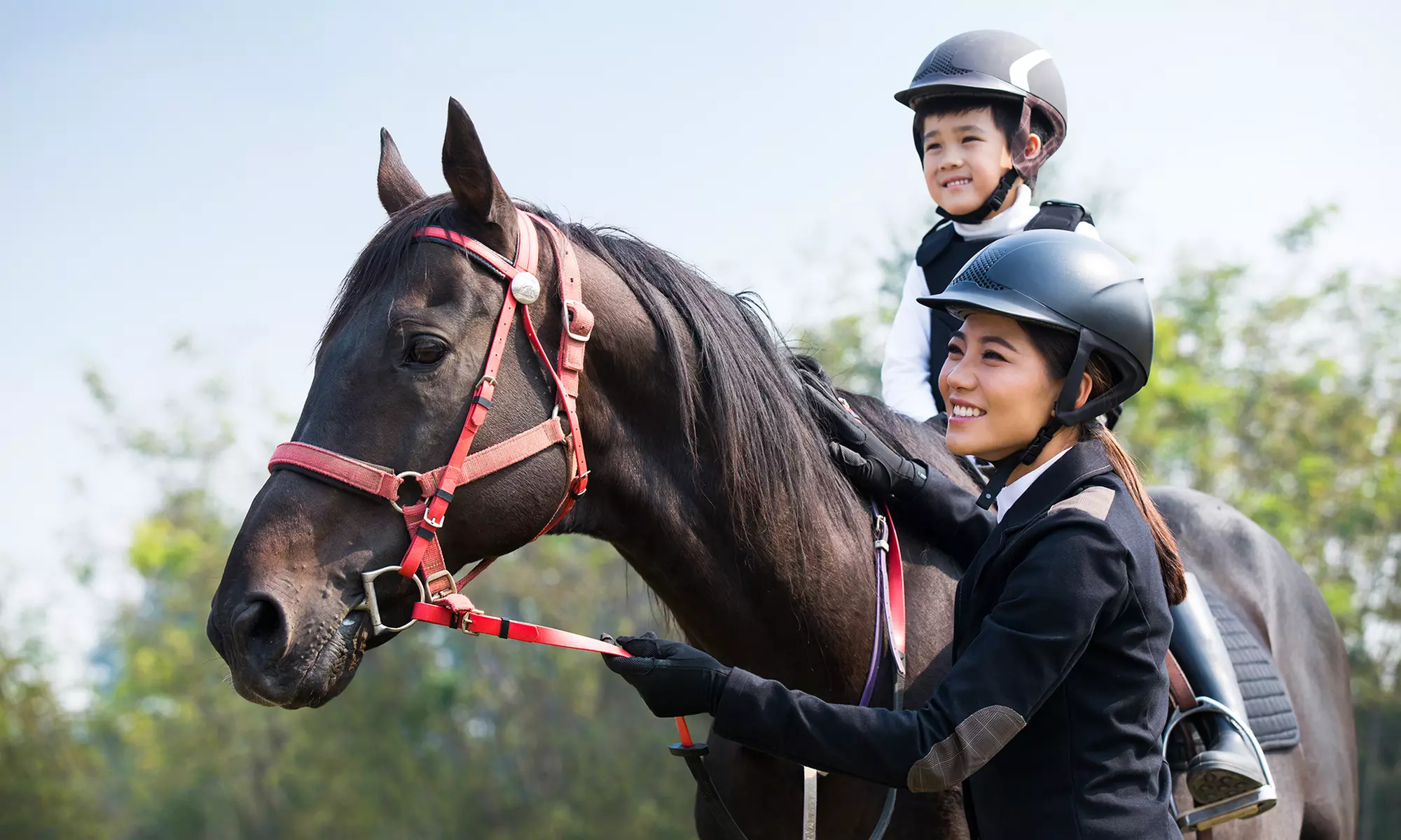 One Private Intro to Horseback Riding at Robinson Ranch (Up To 35% Off) - Primary Image