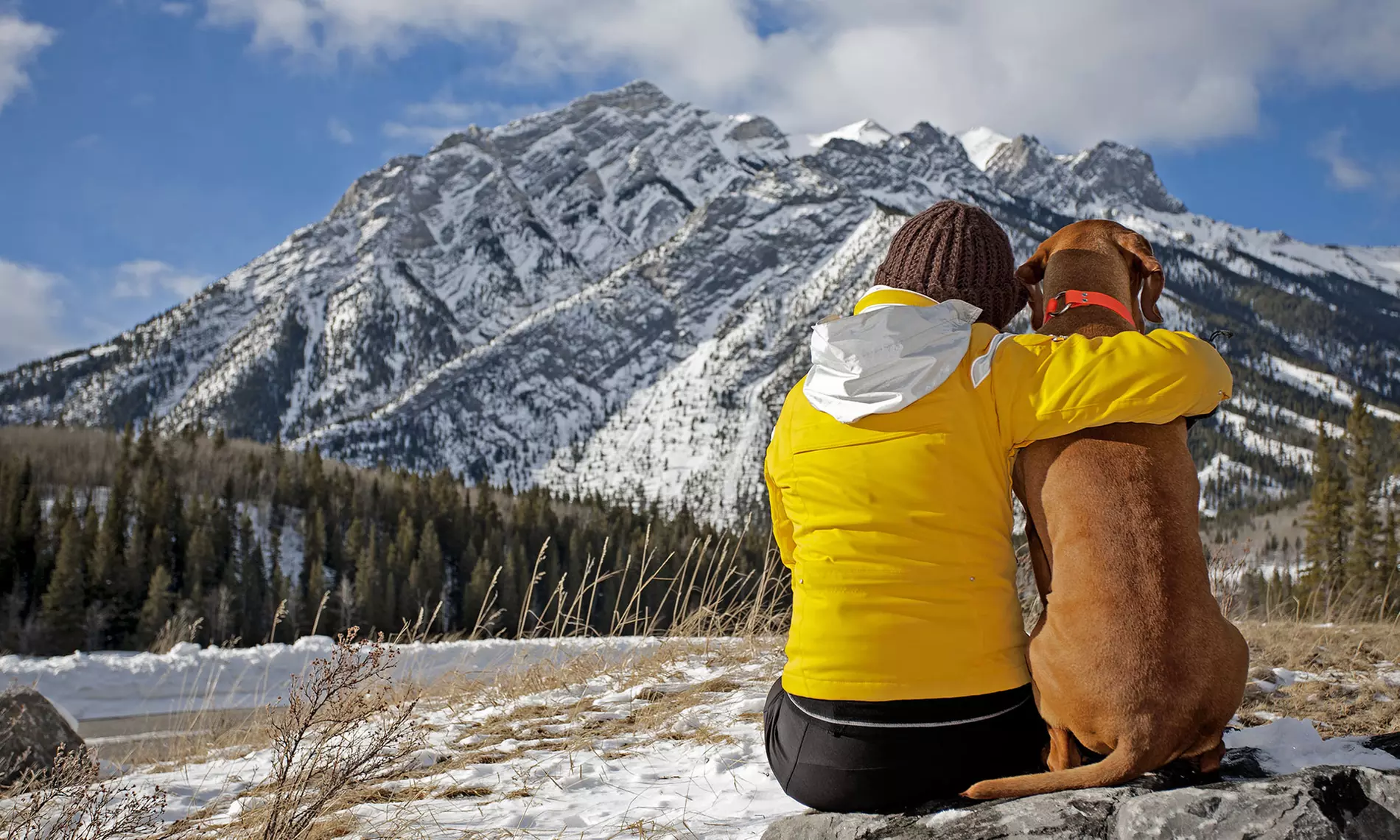 Sud Tirol: fino a 7 notti in camera Standard con mezza pensione, welcome drink, Spa per 2 persone + cane all'Hotel Sonja - Primary Image