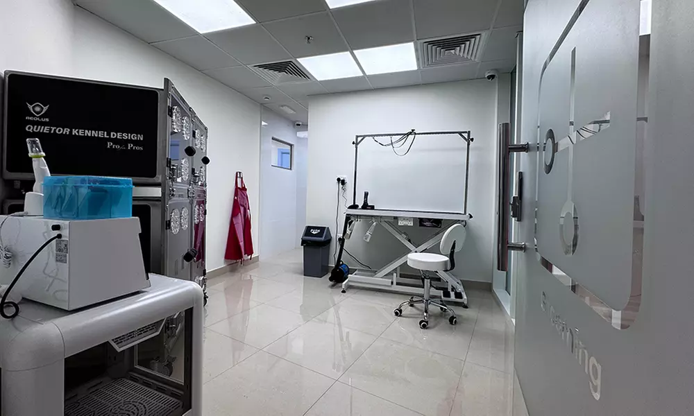 Treat your Cats/Dogs with Basic/Full Grooming from 10 to above 30 kg