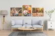 Custom Canvas Prints from Canvas On Demand – Gallery-Quality Wall Art, Up to 90% Off - Second Medium
