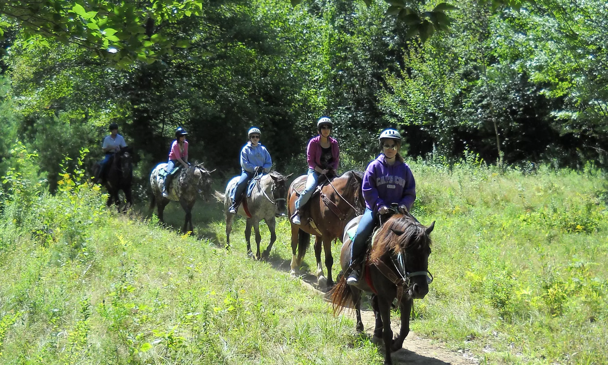 Beginner Trail Ride for One or Two at Carousel Horse Farm (Up to 47% Off) - Primary Image