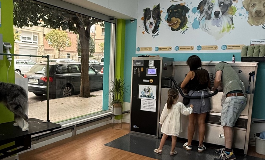 Image 2: Sesión de peluquería canina para perros hasta 6, 15 o 30 kg 