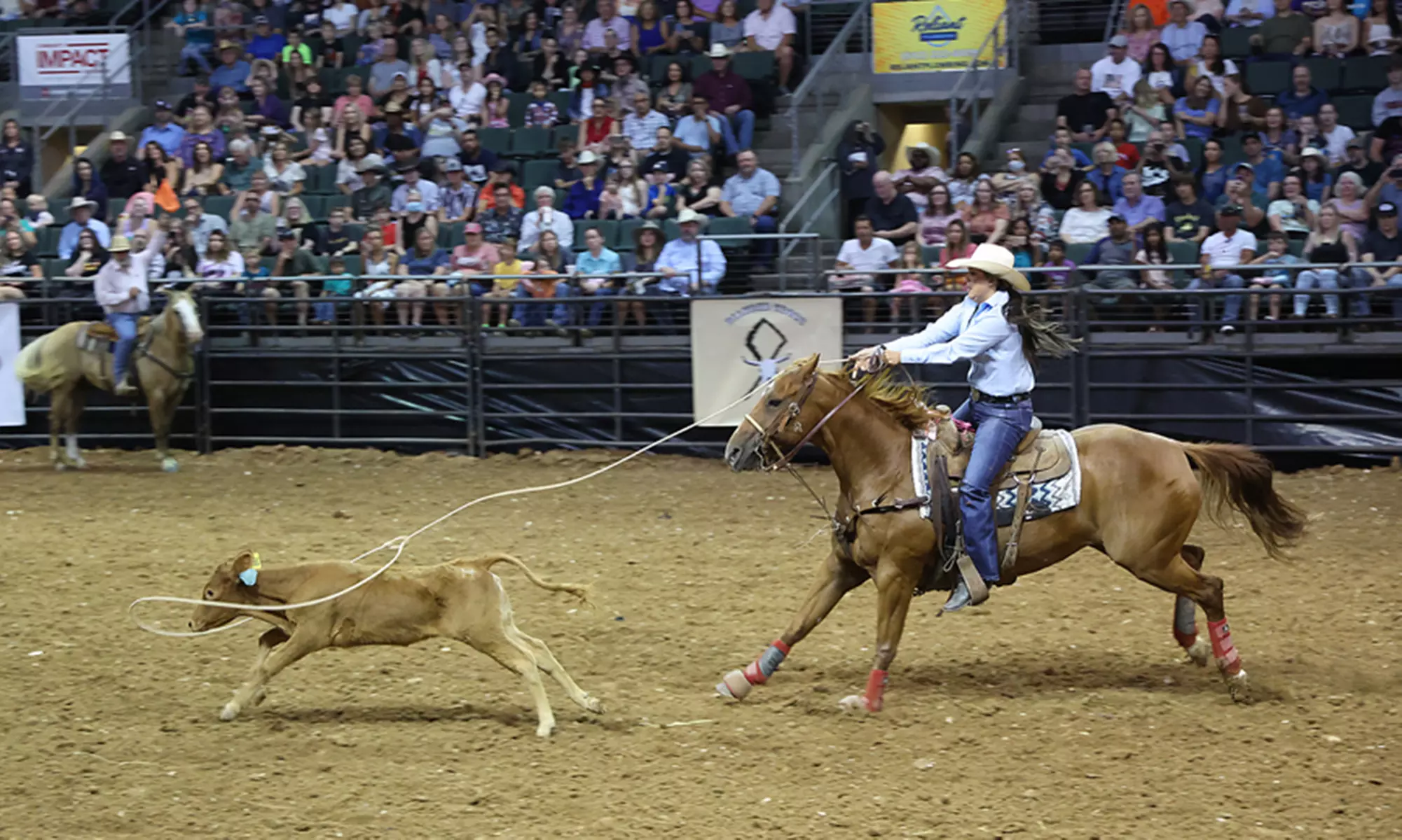 Cedar Park Rodeo on August 11–12 at 7:30 PM - Second Medium