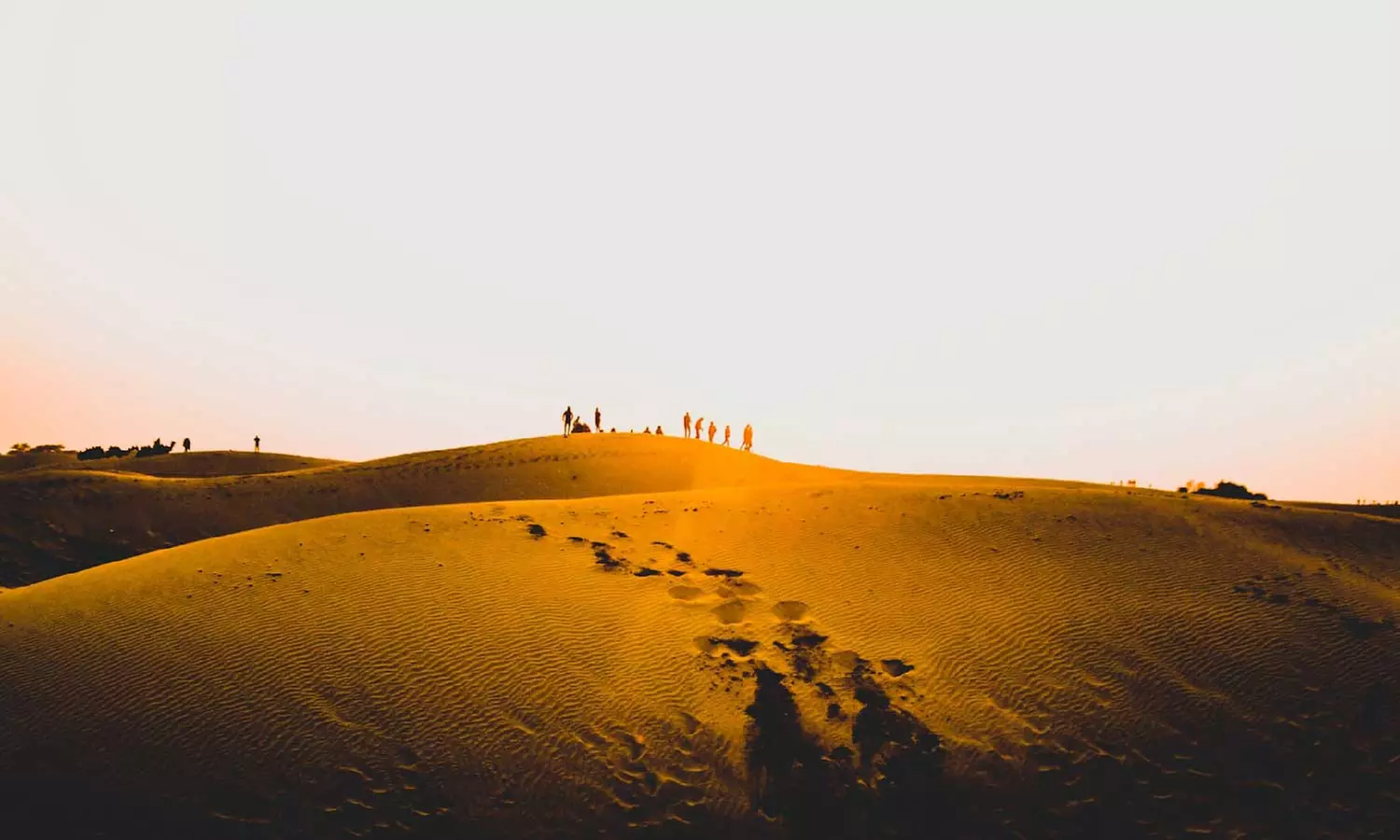 Experience Fun: Desert Safari Dubai