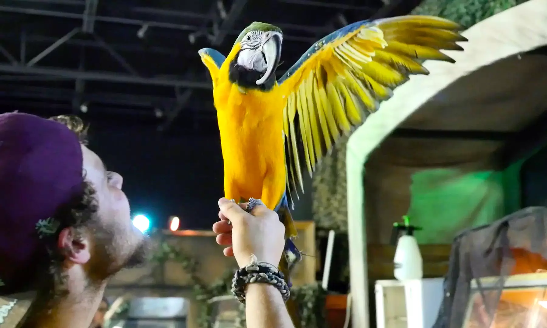 Up to 54% Off Admission Passes at Branson's Wild World