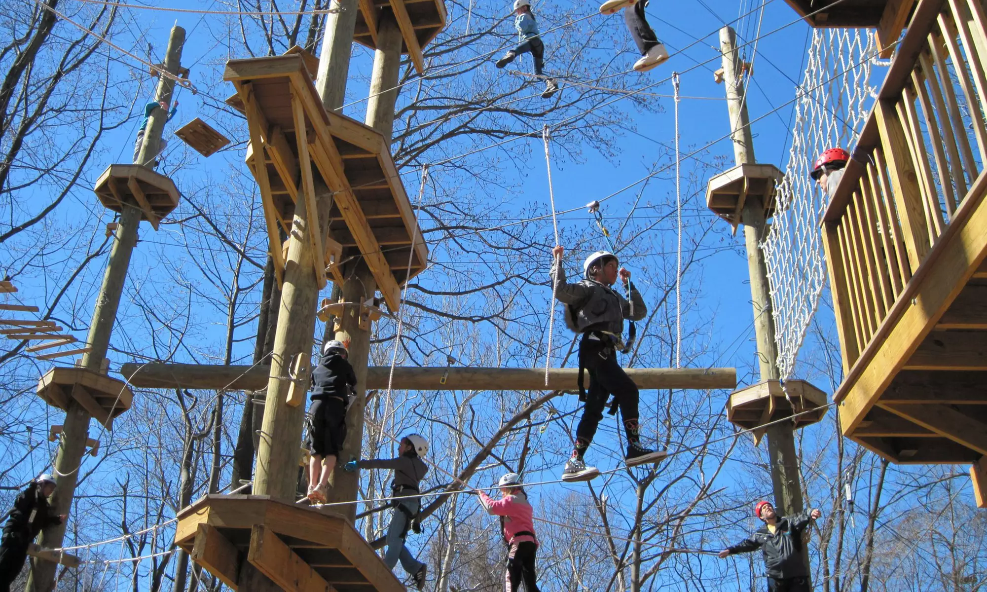$35 for $50 Worth of Adventure Park Activities at Terrapin Adventures - Primary Image