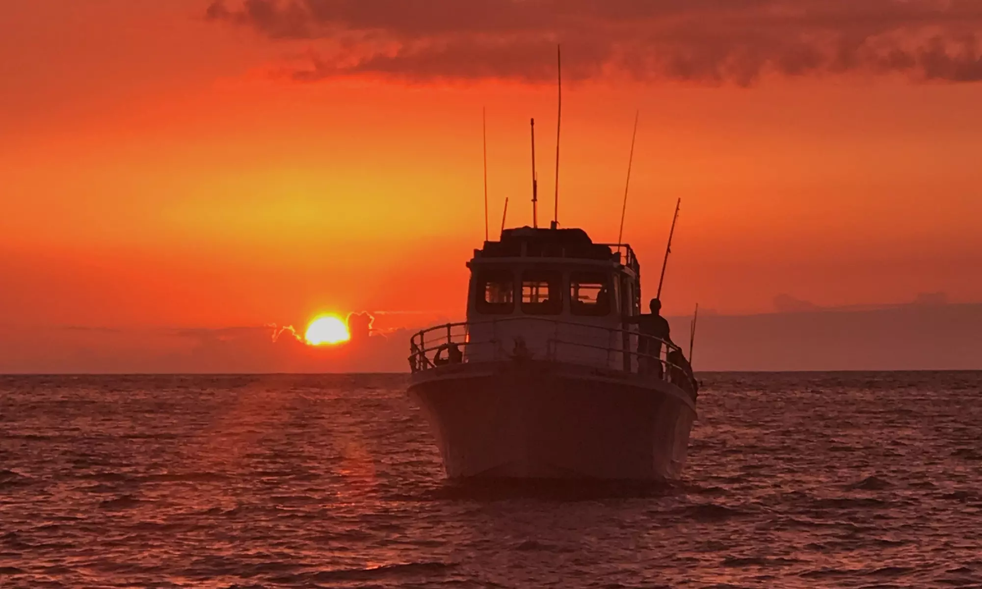 Manta Ray Night Snorkel Experience in Kona Waters