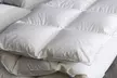 Couette 100 % plumes de canard, 500 g/m², pour un confort optimal et durable, tout en restant écologique, Sampur - Image 2