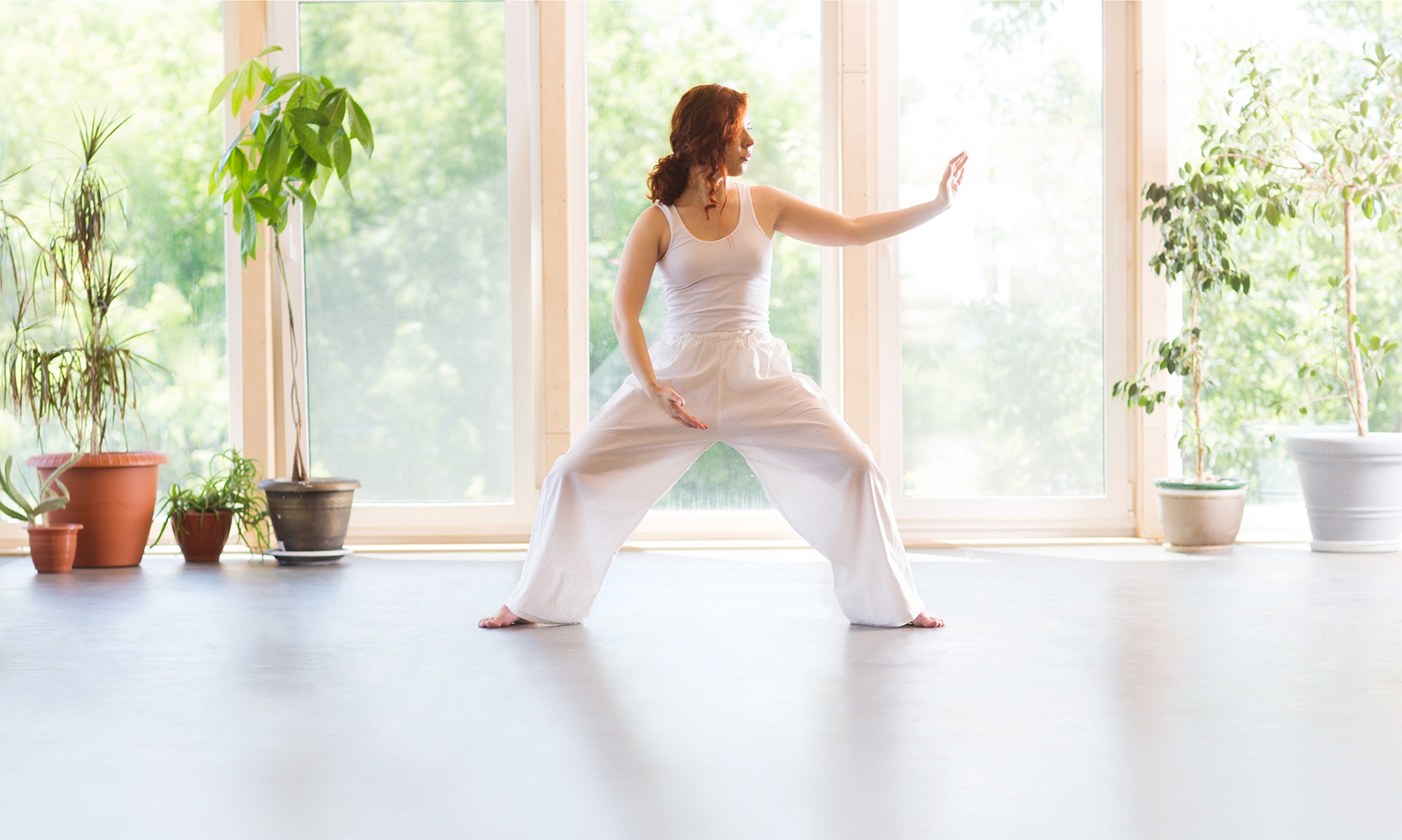 Group or Private Tai Chi Gung Class or Unlimited Classes for One Month
