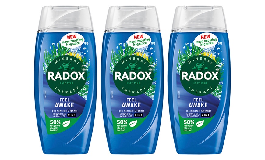 Image 22: Radox Mineral Therapy Shower Gel with Mood-Boosting Fragrance