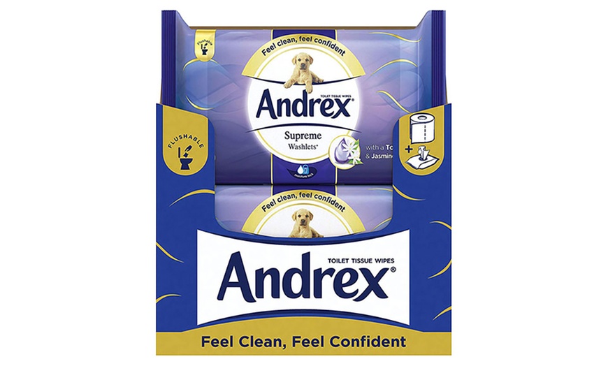 Image 4: Andrex Flushable Wipes
