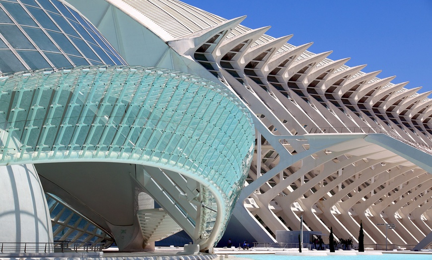 Image 3: Entrada de 1 día al Oceanogràfic, Museo Príncipe Felipe y/o Hemisfèric