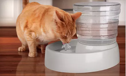 $25 for an Animal Planet Automatic-Flow Pet Water Fountain ($39.99 Value). Shipping Included. - Primary Image