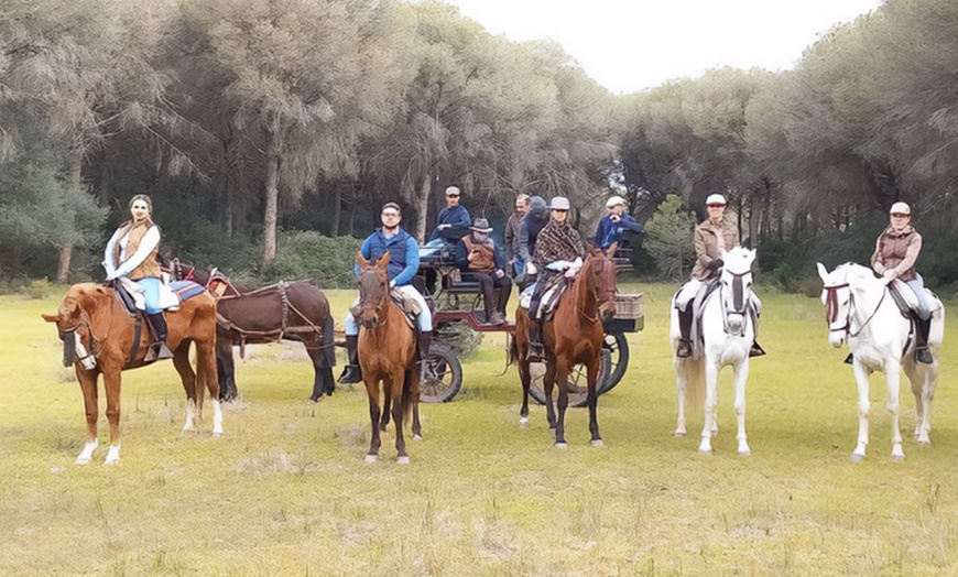 Image 4: Paseo privado en carro de caballos 2 horas para 2 o 4 personas