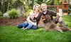 Lawn-Care Services from GrowinGreen