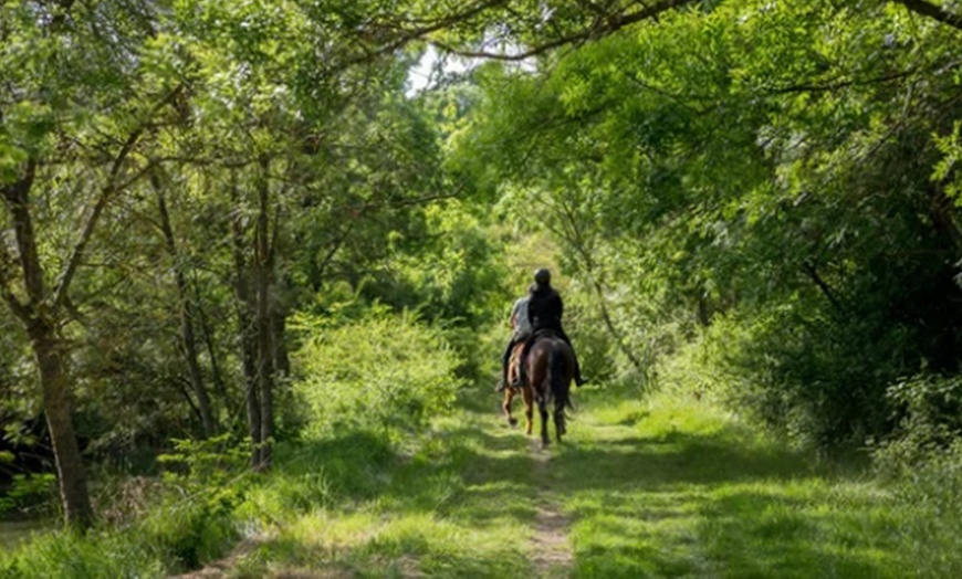 Image 2: Paseo de caballo de 90 minutos por la Vega de Granada para 1, 2 o 3