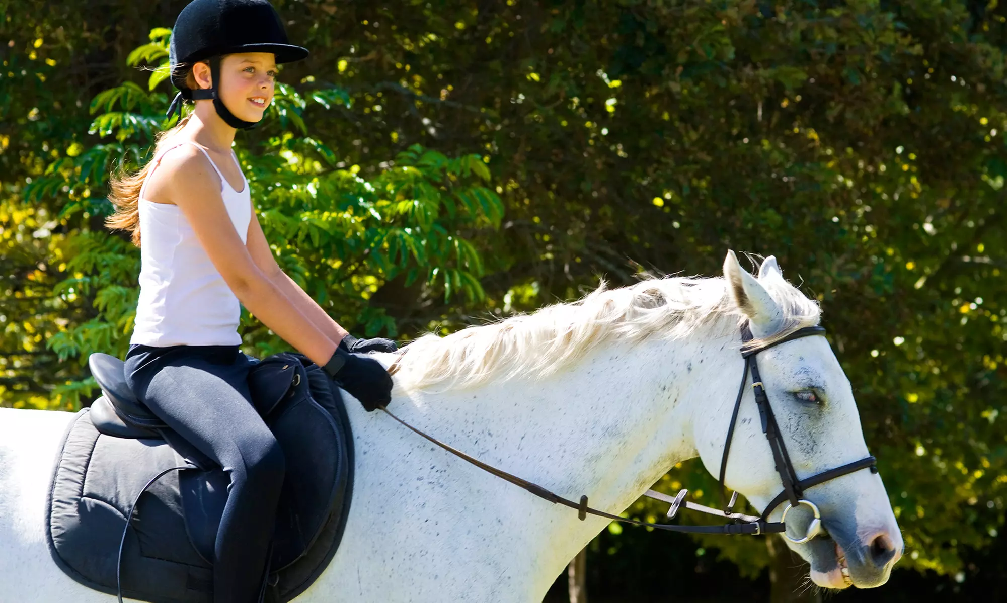 Three-Day Kids Holiday Horse Riding Camps – Adventure Awaits