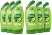 Radox Shower Gels 250ml - Image 5