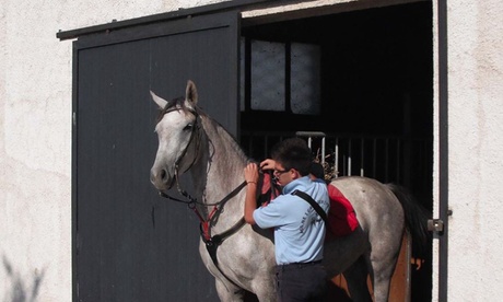 Escursione a cavallo con aperitivo per una o 2 persone all'Agriturismo Casale di Riena