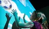$11 for a Day at Science East for Two Adults and Two Children in Fredericton (Up to $22 Value)