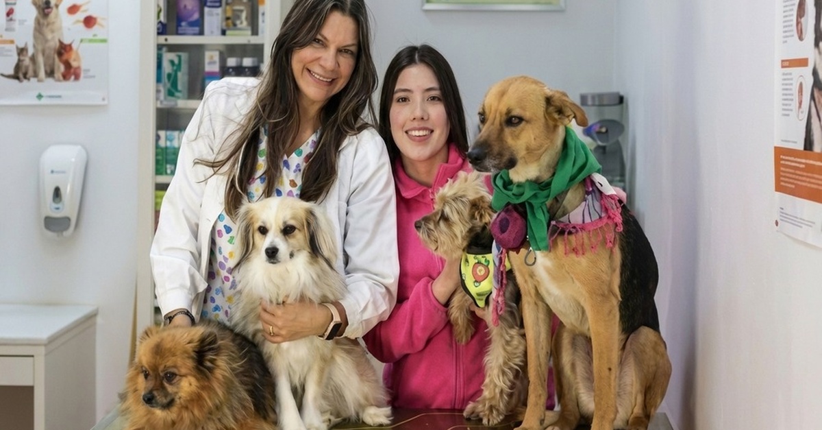 Servicio veterinario para perros en Valencia con vacunación y desparasitación